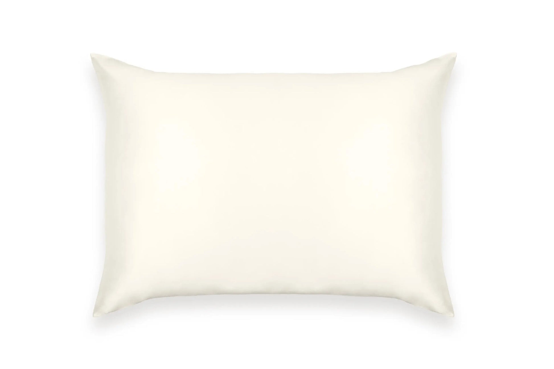 Mulberry Silk Pillow Case VALITTU